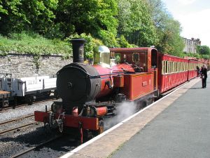 800px-Steam_train_Man